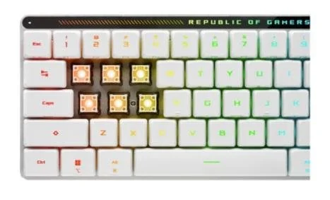 Фото: Клавіатура ASUS ROG Falchion RX Low Profile Red WL/BT RGB EN/UA White (90MP03EC-BKMA10) № 13 | KTC