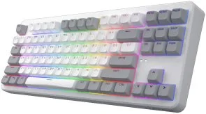 Фото: Клавіатура Hator Rockfall 3 Mecha TKL Aurum Orange Linear rev.2.0 White (HTK851UA) № 2 | KTC