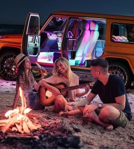 Фото: Набір адаптивного підсвічування Govee H7090 Interior Car Lights RGBIC Bluetooth (H70900D2) № 6 | KTC