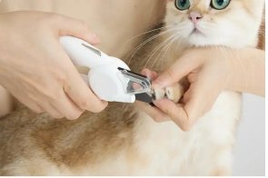 Кусачки PETKIT LED Pet Nail Clipper PRO (PK2302)