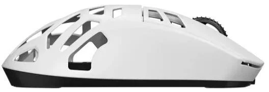Фото: Миша Lorgar Elite MSE90W Wireless White (LRG-MSE90W-WH) № 6 | KTC