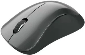 Фото: Миша Canyon CNE-CMSW11B Grey № 5 | KTC