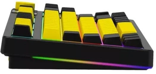 Фото: Клавіатура Lorgar KBP70TKLW Toxic Purple ENG WL/RT/USB Black/Yellow (LRG-KBP70TKLW-YL-US) № 5 | KTC