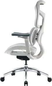 Фото: Крісло SIHOO Doro S100 White (S100-M302) № 4 | KTC