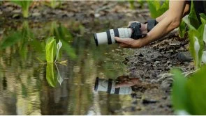 Фото: Об'єктив Sony 70-200mm f/4.0 G OSS II NEX FF (SEL70200G2.SYX) № 6 | KTC