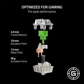 Фото: Перемикач Razer Mechanical Switches Pack Green clicky switch 36 pcs (RC21-02040200-R3M1) № 5 | KTC
