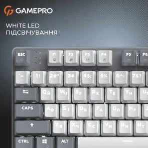 Фото: Клавіатура GamePro Genesis Metallic MK110G Red Switches Grey № 17 | KTC
