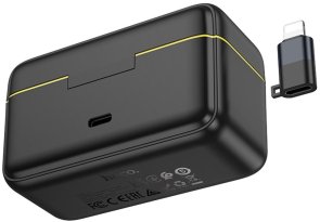 Радіосистема Hoco L17 Lightning/Type-C Black (6942007645997)