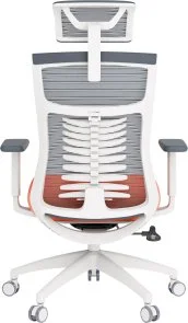 Фото: Крісло OfficePro Balance OC550-W-DG-OR White/Dark Gray/Orange № 4 | KTC