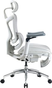 Крісло SIHOO Doro C300 Pro with Footrest White (DORO-C300-PRO-M102-JT)
