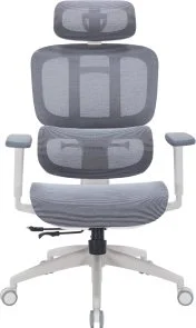 Фото: Крісло OfficePro Skyline OC680 White/Dark Gray (OC680-W-DG-DG) № 3 | KTC