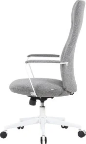 Фото: Крісло OfficePro Shift OC545DG Dark Gray № 6 | KTC