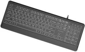 Фото: Клавіатура Gembird KB-UML-04-CYRL Black № 3 | KTC