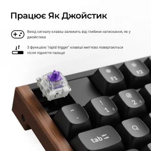 Фото: Клавіатура Keychron K10 HE Gateron Magnetic Switch RGB Black (K10H-F1-UA) № 9 | KTC