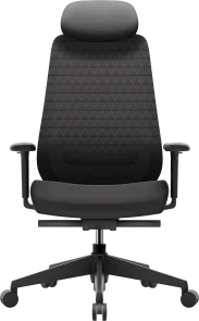 Фото: Крісло OfficePro Omnis OC640B Black № 2 | KTC
