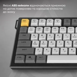 Фото: Клавіатура Ajazz AF82 WL/BT/USB White/Blue (AF82-BW) № 8 | KTC