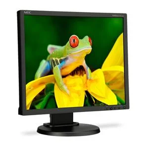 Фото: Монітор NEC MultiSync EA192M (60003065) чорний № 6 | KTC