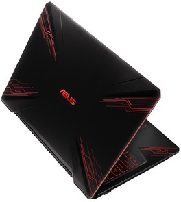 Ноутбук ASUS TUF FX504GM-E4245T Red Pattern