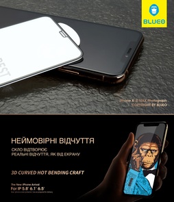 Захисне скло Blueo for iPhone X 3D Black