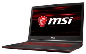 Ноутбук MSI GL738SD-243XUA Black