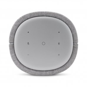 Smart колонка Harman Kardon Citation 100 MKII Grey (HKCITA100MKIIGRYEU)