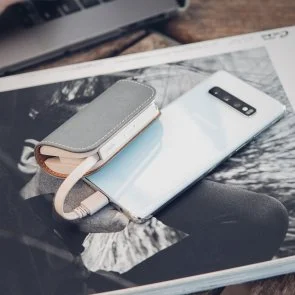 Фото: Батарея універсальна Moshi IonGo 5K Duo 5000mAh Fossil Gray (99MO022024) № 4 | KTC