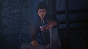 Гра Life is Strange 2 [PS4, English version] Blu-ray диск