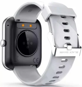 Фото: Смарт годинник Black Shark BS-GT Silver № 6 | KTC