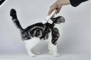 Фото: Тример PETKIT 2 in 1 Pet Trimmer Pro (PK413) № 11 | KTC