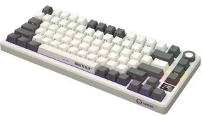 Фото: Клавіатура Lorgar KBP7075W Toxic Purple ENG WL/RT/USB Beige (LRG-KBP7075W-RT-US) № 4 | KTC