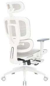 Крісло OfficePro Skyline Footrest OC750 White/Light Gray (OC750-W-LG-LG)