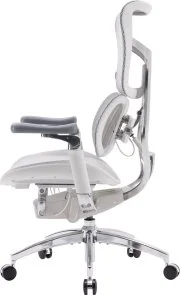 Фото: Крісло SIHOO Doro S300 Light Grey (S300-M202) № 4 | KTC