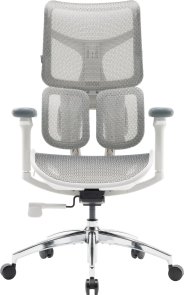 Крісло SIHOO Doro S100 White (S100-M302)