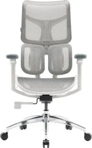 Фото: Крісло SIHOO Doro S100 White (S100-M302) № 2 | KTC