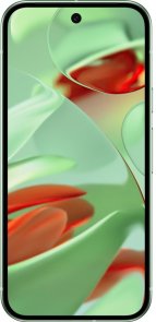 Смартфон Google Pixel 9 12/128GB Wintergreen