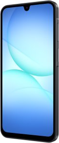 Смартфон Samsung Galaxy A17 LTE 8/256GB Black (SM-A175FZKEEUC)