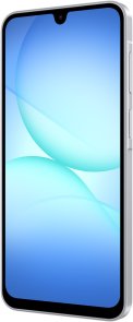 Смартфон Samsung Galaxy A17 LTE 8/256GB Gray (SM-A175FZAEEUC)