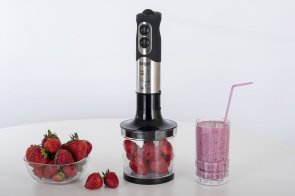 Блендер ERGO EHB 5000