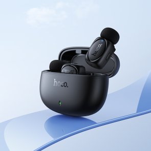 Радіосистема Hoco L19 Lightning/Type-C Black (6942007655477)