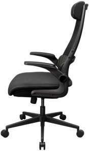 Крісло ігрове Cougar Stryder, Black