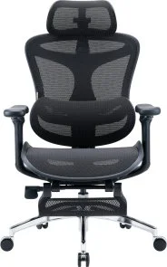 Фото: Крісло SIHOO Doro C300L with Footrest Black (DORO-C300L-A3-101-JT) № 2 | KTC