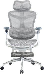 Крісло SIHOO Doro C300 Pro with Footrest White (DORO-C300-PRO-M102-JT)