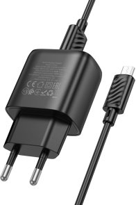 Зарядний пристрій Hoco C141A Black with AM/MicroUSB (6942007627887)