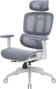 Крісло OfficePro Skyline OC680 White/Dark Gray (OC680-W-DG-DG)