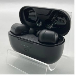 Гарнітура вакуумна Final Audio VR3000 TWS Black