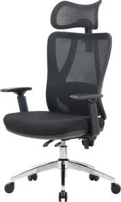 Фото: Крісло OfficePro Aero OC490B Black № 3 | KTC