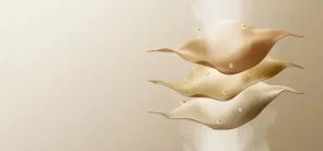 Фото: Вертикальний відпарювач Xiaomi Handheld Garment Steamer EU (1059720) № 16 | KTC