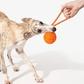 Фото: Інтерактивна електромеханічна іграшка Cheerble Wicked Ball Air Rope Bright Orange (CWQ03O) № 4 | KTC