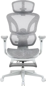 Фото: Крісло OfficePro Onix OC975G Gray № 3 | KTC
