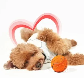 Фото: Інтерактивний розумний м'яч для собак Cheerble Wicked Ball Air Neo Bright Orange (CWQ09O) № 5 | KTC